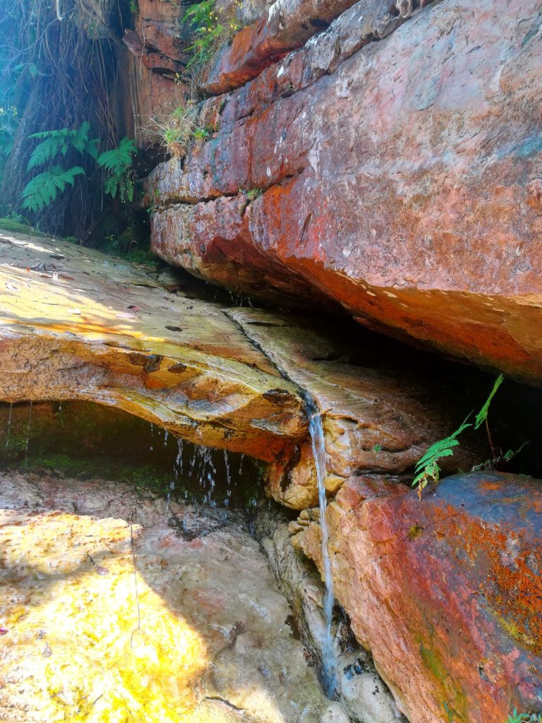 trilha cachoeira do sossego 