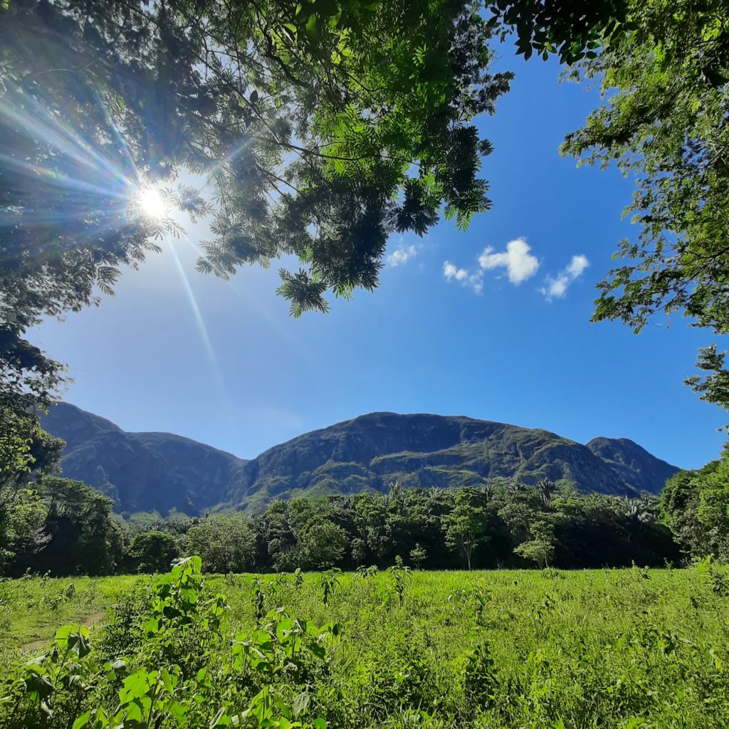 Biodiversidade da Bahia: conceitos, exemplos e reflexões