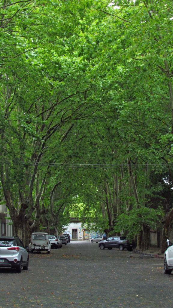 colonia del sacramento 